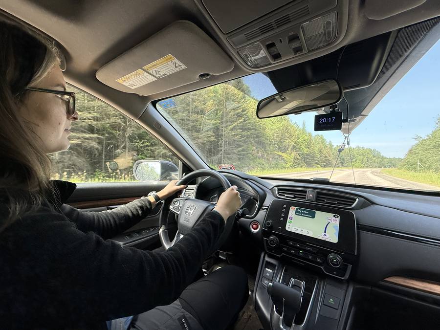 Violette driving on a forested highway with the GPS on the dashboard screen.