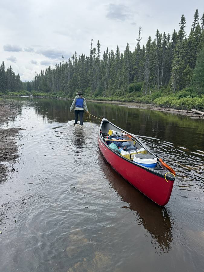 Violette wading and leading the loaded canoe across a calm dark stretch of water under a heavy sky.
