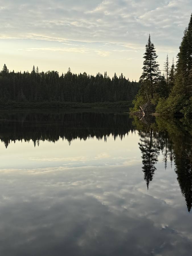 A mirror-calm lake at dusk reflecting the treeline and clouds.