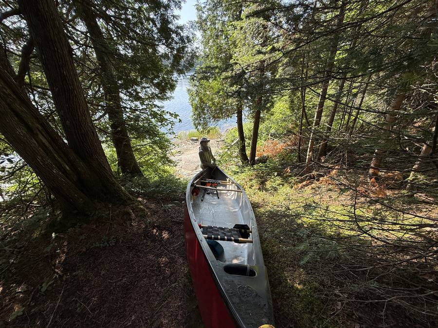 The empty canoe on a forest portage trail leading down to a sunlit lake, Violette resting at the water's edge.