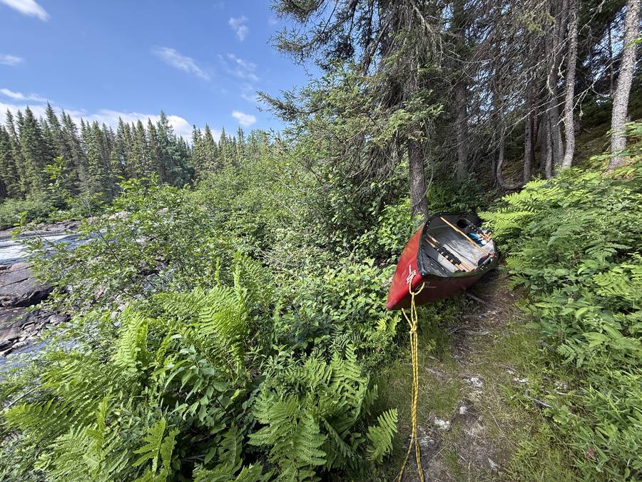 The loaded canoe tied up on a fern-covered bank beside rapids under a blue sky.