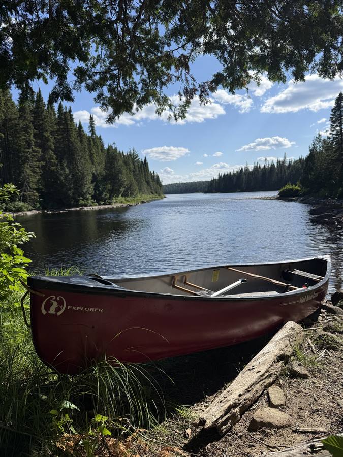 The red Mad River Explorer canoe beached under spruce.