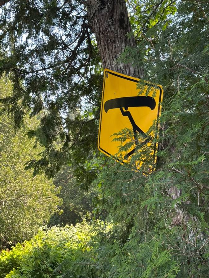 A yellow SEPAQ portage sign with a canoe-carry symbol nailed to a cedar trunk.